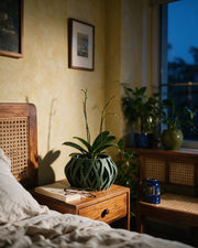 Swirl Lattice Orchid Planter – at night on a bedside table