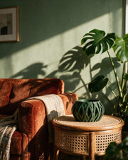 Swirl Lattice Orchid Planter – on a side table at golden hour
