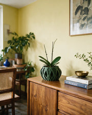 Swirl Lattice Orchid Planter – styled on a console