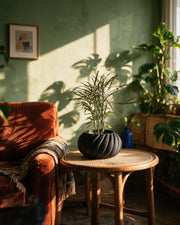 Swirl Rib Planter – on a side table at golden hour