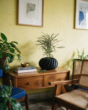 Swirl Rib Planter – styled on a console
