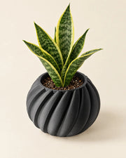 Swirl Rib Planter – styled in use
