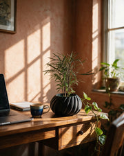 Swirl Rib Planter – on a work desk in morning sun