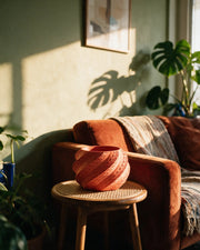 Swirl Shell Planter – on a side table at golden hour