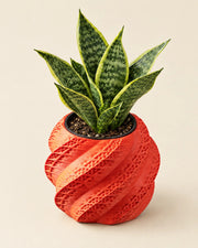 Swirl Shell Planter – styled in use