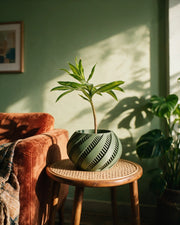 Swirl Slat Planter – on a side table at golden hour