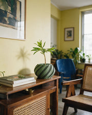 Swirl Slat Planter – styled on a console