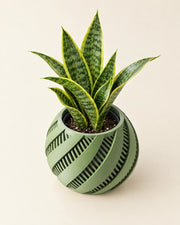 Swirl Slat Planter – styled in use