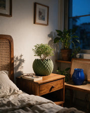 Teardrop Scale Planter – at night on a bedside table
