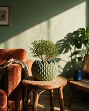 Teardrop Scale Planter – on a side table at golden hour