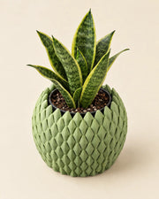 Teardrop Scale Planter – styled in use
