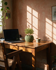 Teardrop Scale Planter – on a work desk in morning sun