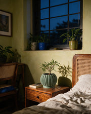 Textured Rib Planter – at night on a bedside table