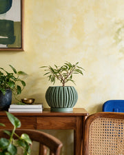 Textured Rib Planter – styled on a console