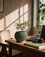 Textured Rib Planter – on a work desk in morning sun