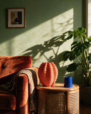 Thorn Vase – on a side table at golden hour