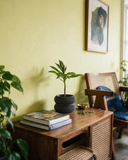 Twin Ring Planter – styled on a console