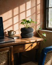 Twin Ring Planter – on a work desk in morning sun