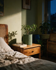 Twist Column Planter – at night on a bedside table