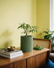 Twist Column Planter – styled on a console
