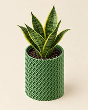 Twist Column Planter – styled in use