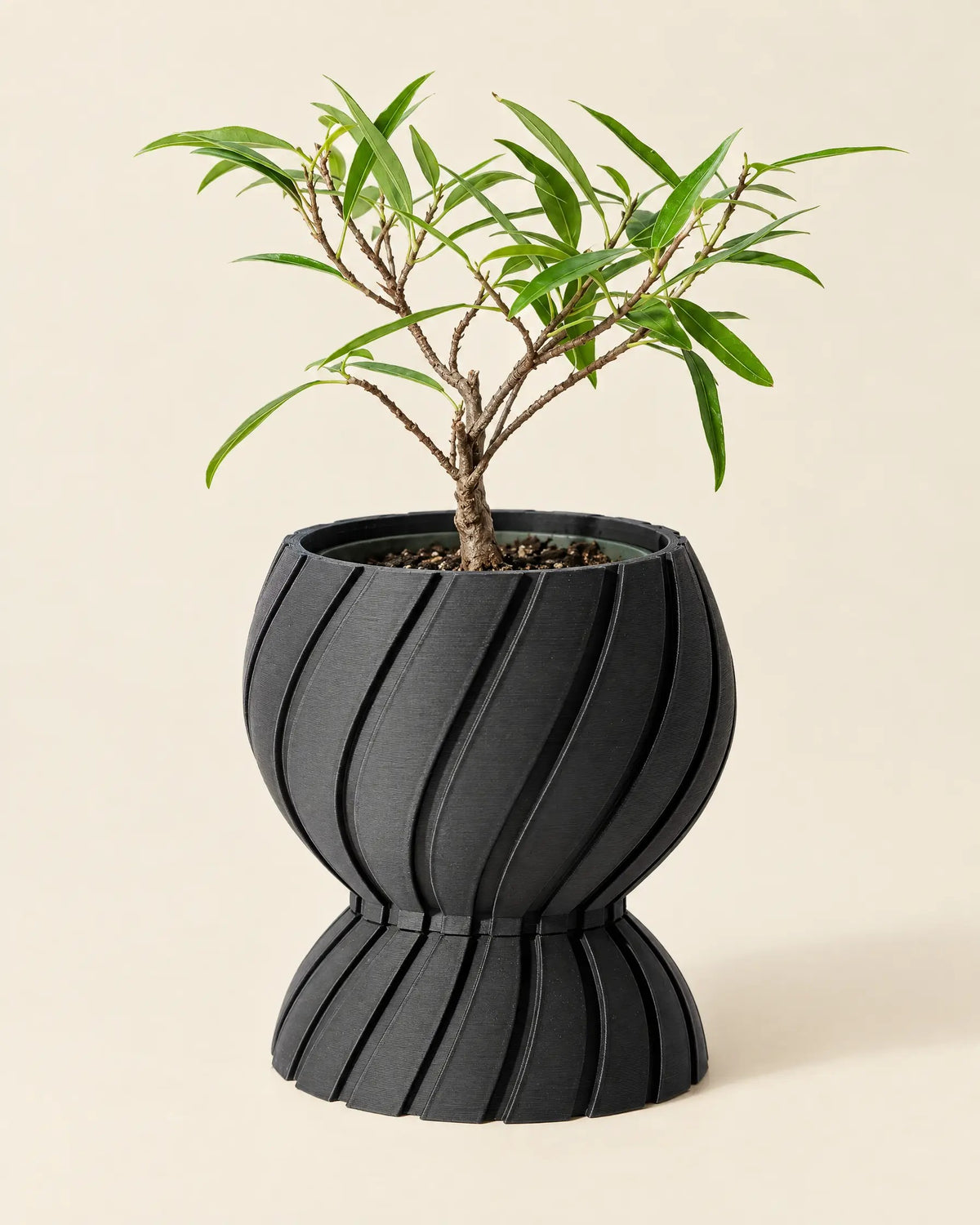 Twist Waist Planter