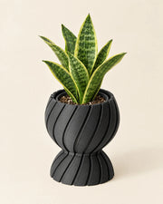 Twist Waist Planter – styled in use