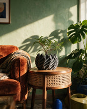 Twisted Flame Planter – on a side table at golden hour