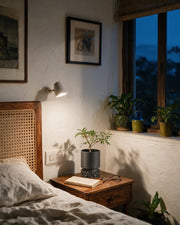 Voronoi Base Planter – at night on a bedside table