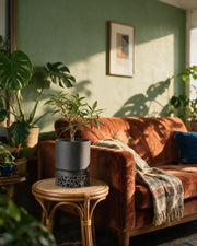 Voronoi Base Planter – on a side table at golden hour