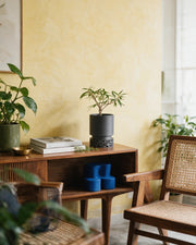 Voronoi Base Planter – styled on a console