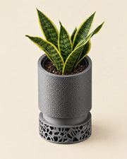 Voronoi Base Planter – styled in use