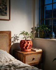 Voronoi Shell Planter – at night on a bedside table