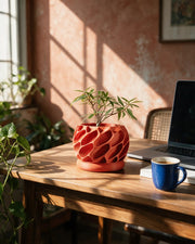 Voronoi Shell Planter – on a work desk in morning sun