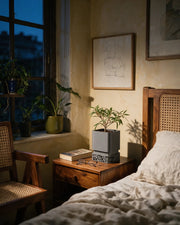 Voronoi Square Planter – at night on a bedside table