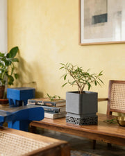 Voronoi Square Planter – styled on a console