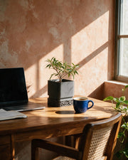 Voronoi Square Planter – on a work desk in morning sun