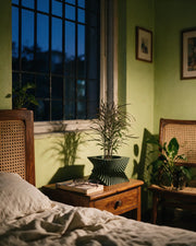 Vortex Sweep Planter – at night on a bedside table