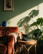 Vortex Sweep Planter – on a side table at golden hour