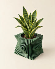 Vortex Sweep Planter – styled in use