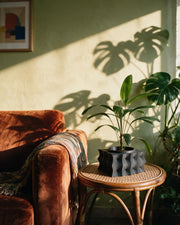 Wave Block Planter – on a side table at golden hour