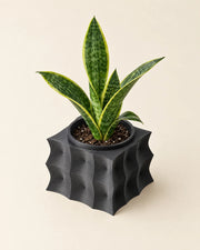 Wave Block Planter – styled in use