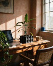 Wave Block Planter – on a work desk in morning sun