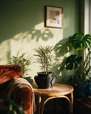 Wave Cut Planter – on a side table at golden hour