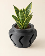 Wave Cut Planter – styled in use