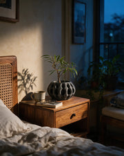 Wave Fin Planter – at night on a bedside table