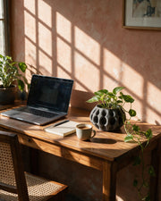 Wave Fin Planter – on a work desk in morning sun