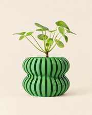 Wave Flute Planter – front view