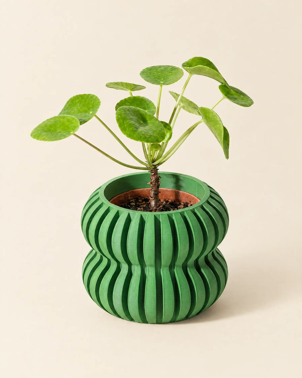 Wave Flute Planter