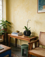 Wave Rib Orchid Planter – styled on a console